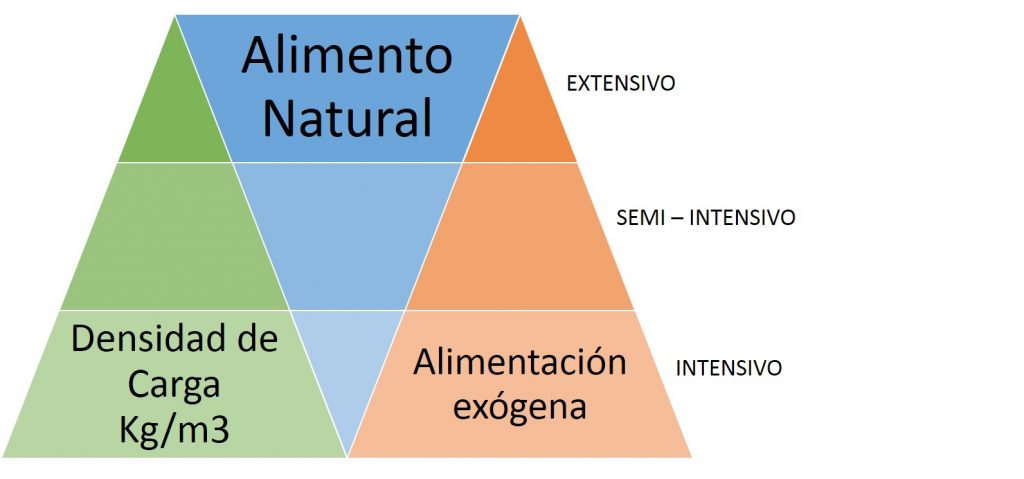 ¿Cuantos peces sembrar en mis estanques?